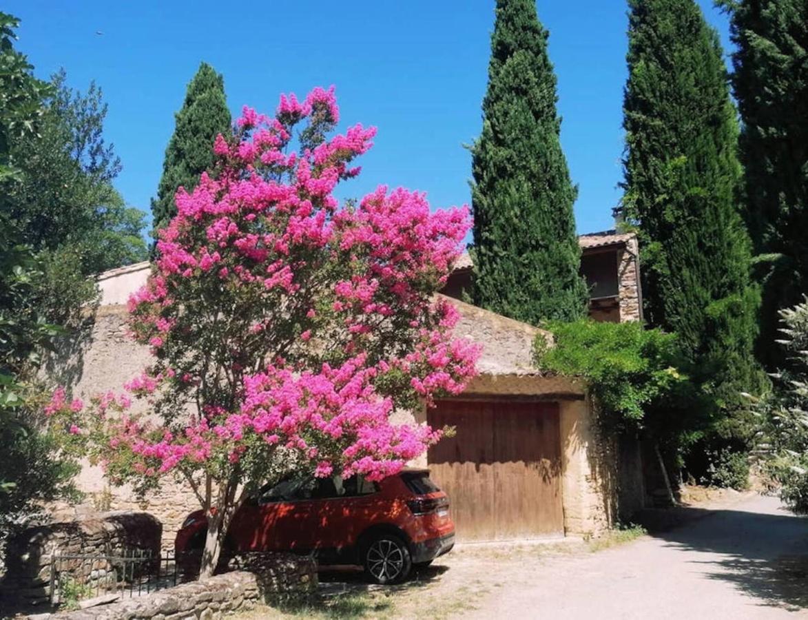 Maison 1643 Laudun Εξωτερικό φωτογραφία